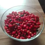 Agro-tur W Szuwarach ホームステイ