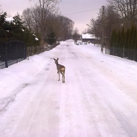 民宿 Agro-tur W Szuwarach Kuty