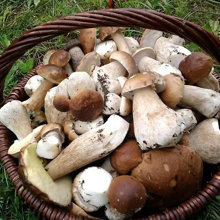 民宿 Agro-tur W Szuwarach