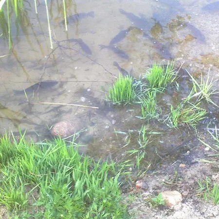 Quarto em Acomodações Particulares Agro-tur W Szuwarach Kuty