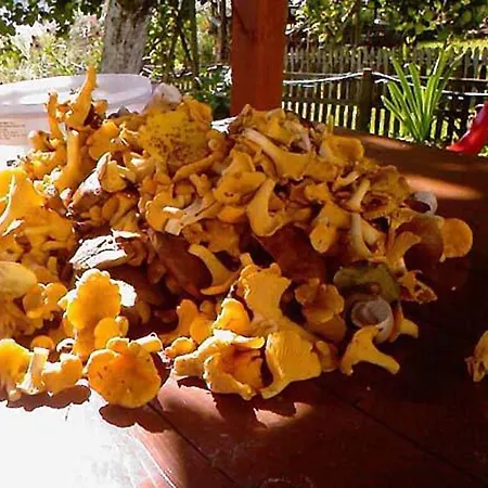 Quarto em Acomodações Particulares Agro-tur W Szuwarach *