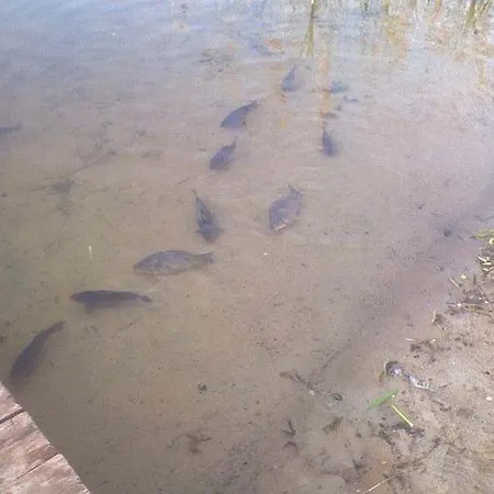 Agro-tur W Szuwarach Kuty