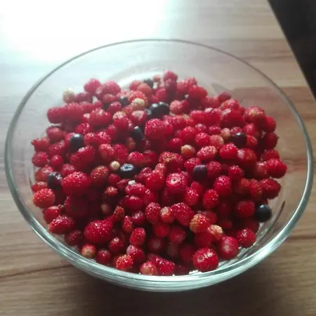 Agro-tur W Szuwarach Quarto em Acomodações Particulares